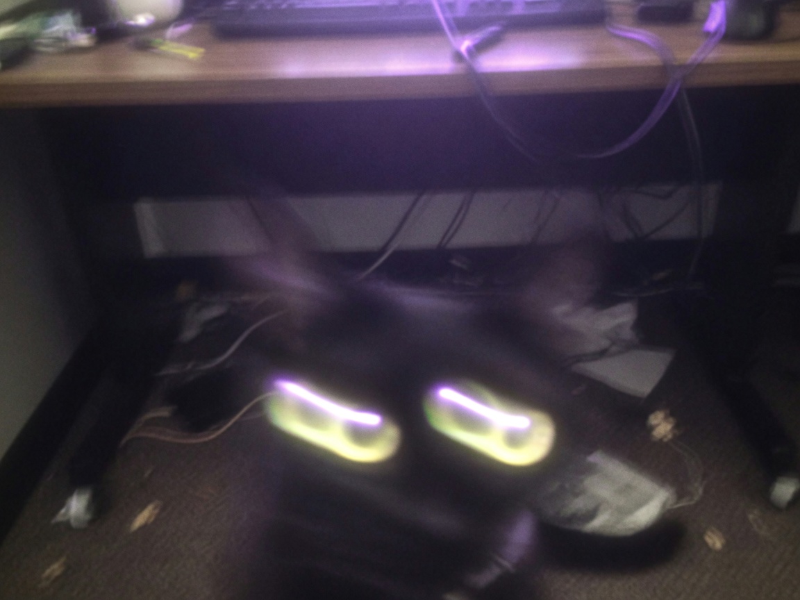 Blurry glowing eyes under desk evidence